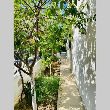 Villa Kusadasi'nda Sessiz Sakin Bir Nida 6 Kusadasi