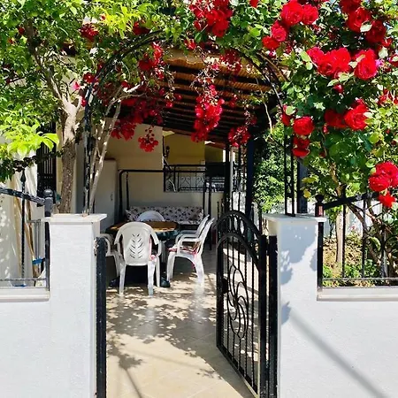 Kusadasi'nda Sessiz Sakin Bir Nida 6 Villa